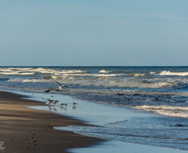 Fale Bałtyku przy plaży w Karwi, morski brzeg, piasek i spokojny widok na polskie morze.