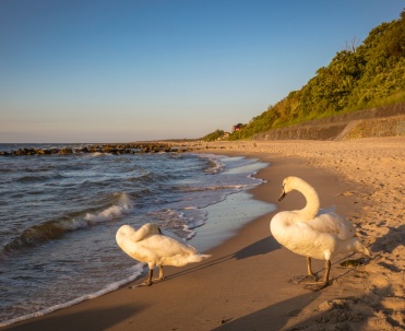 Chodż do wody :) Plaża Niechorze