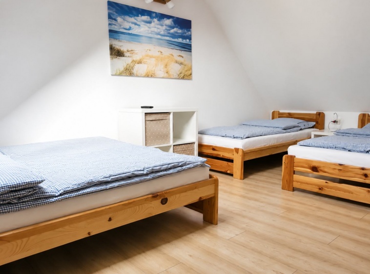 HORTENSJA 