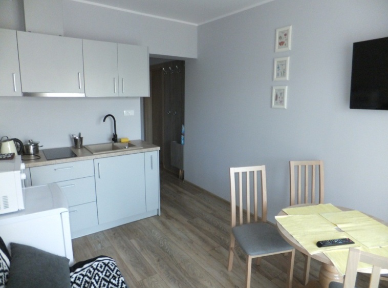 DW GOGA - domki, apartamenty, pokoje Apartament nr 2 - salon z kuchnią