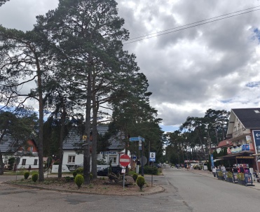 Spacerowa ulica otoczona sosnami i budynkami w Pobierowie.