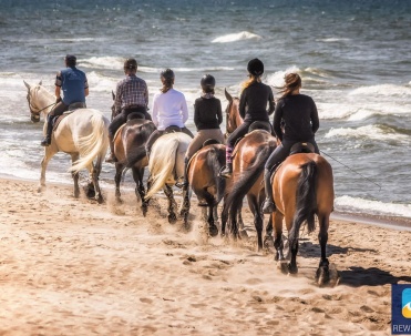 Konie na plaży w Trzęsaczu.